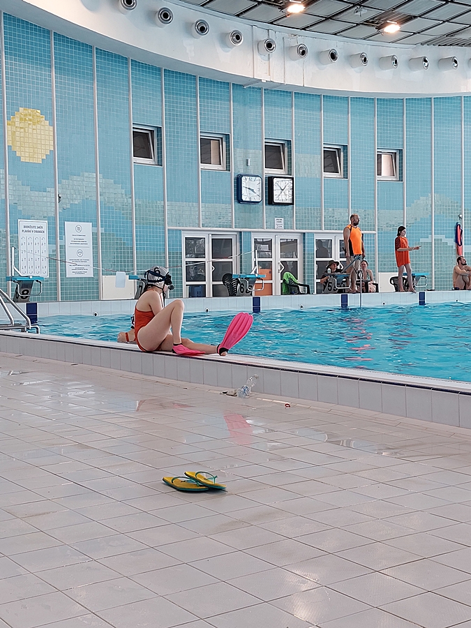 Hokej pod wodą Walenie Czeskie Budziejowice Bud Pig Cup 2025